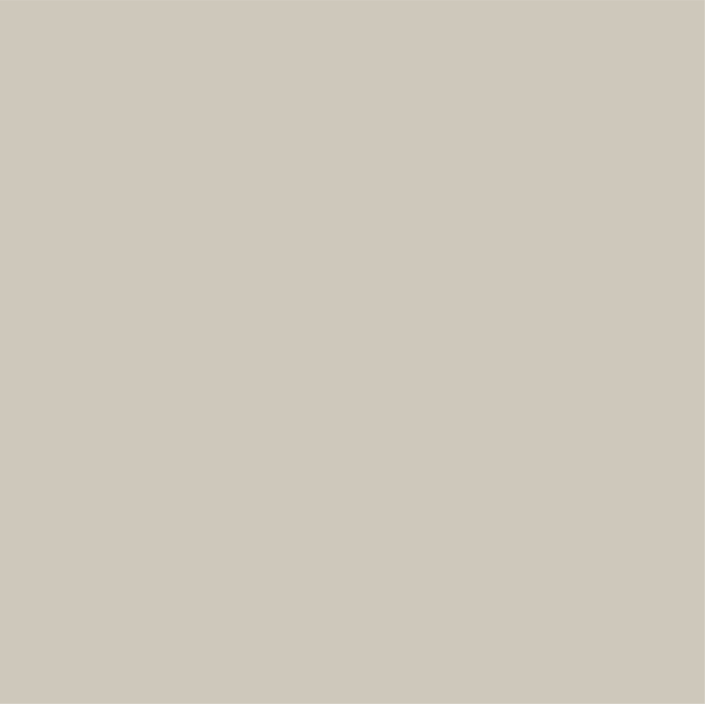 Strukturpaste | Beige | 50ml